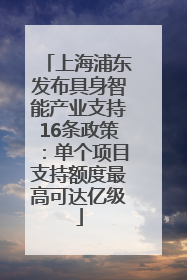 上海浦东发布具身智能产业支持16条政策：单个项目支持额度最高可达亿级