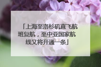 上海至洛杉矶直飞航班复航，至中亚国家航线又将开通一条