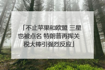 不止苹果和欧盟 三星也被点名 特朗普再挥关税大棒引强烈反应