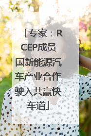 专家：RCEP成员国新能源汽车产业合作驶入共赢快车道