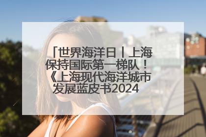 世界海洋日丨上海保持国际第一梯队！《上海现代海洋城市发展蓝皮书2024评估报告》发布
