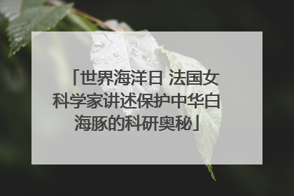 世界海洋日 法国女科学家讲述保护中华白海豚的科研奥秘