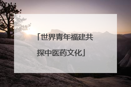世界青年福建共探中医药文化