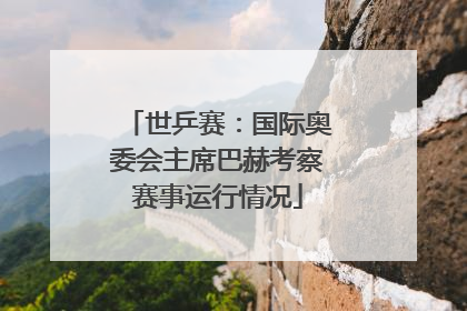 世乒赛：国际奥委会主席巴赫考察赛事运行情况