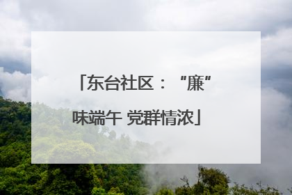 东台社区：“廉”味端午 党群情浓