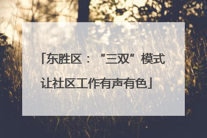 东胜区：“三双”模式让社区工作有声有色