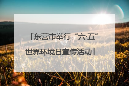 东营市举行“六·五”世界环境日宣传活动