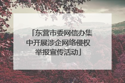 东营市委网信办集中开展涉企网络侵权举报宣传活动