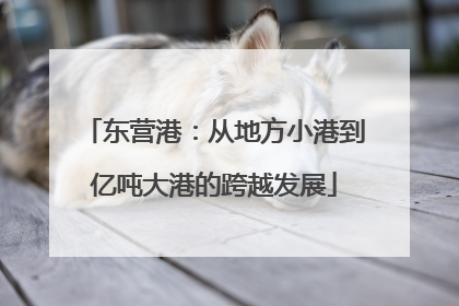 东营港：从地方小港到亿吨大港的跨越发展