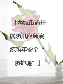 两城街道开展防汛应急演练筑牢安全“防护堤”