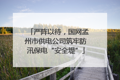 严阵以待，国网孟州市供电公司筑牢防汛保电“安全堤”