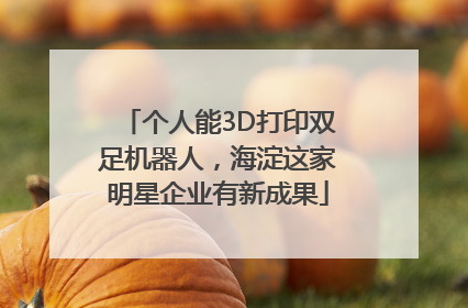 个人能3D打印双足机器人，海淀这家明星企业有新成果