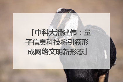 中科大潘建伟：量子信息科技将引领形成网络文明新形态