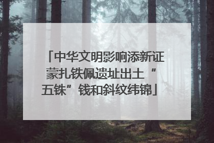 中华文明影响添新证 蒙扎铁佩遗址出土“五铢”钱和斜纹纬锦