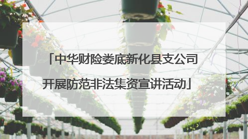 中华财险娄底新化县支公司开展防范非法集资宣讲活动