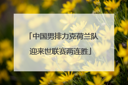中国男排力克荷兰队 迎来世联赛两连胜