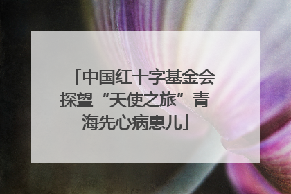 中国红十字基金会探望“天使之旅”青海先心病患儿