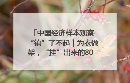 中国经济样本观察·“镇”了不起｜为衣做架，“挂”出来的80亿元“衣架产业”