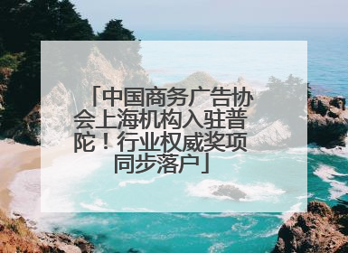 中国商务广告协会上海机构入驻普陀！行业权威奖项同步落户