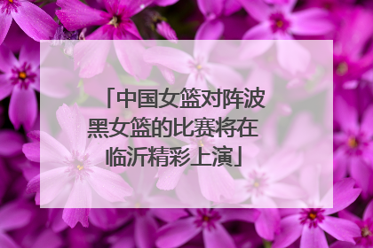中国女篮对阵波黑女篮的比赛将在临沂精彩上演