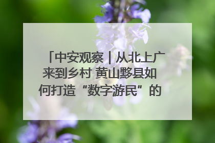 中安观察｜从北上广来到乡村 黄山黟县如何打造“数字游民”的“桃花源”？
