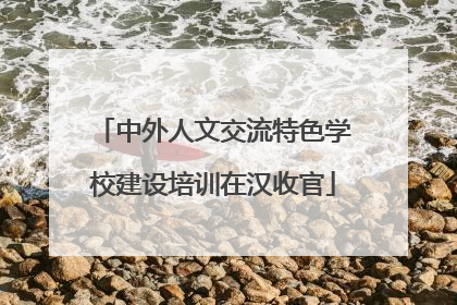 中外人文交流特色学校建设培训在汉收官
