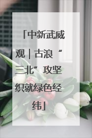 中新武威观｜古浪“三北”攻坚织就绿色经纬