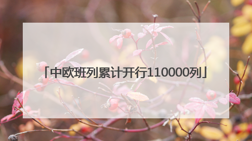 中欧班列累计开行110000列