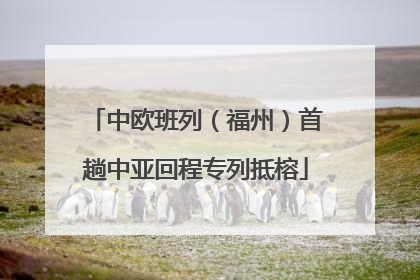 中欧班列（福州）首趟中亚回程专列抵榕