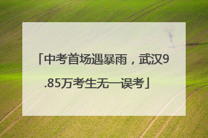 中考首场遇暴雨，武汉9.85万考生无一误考