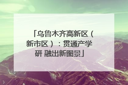 乌鲁木齐高新区（新市区）：贯通产学研 融出新图景