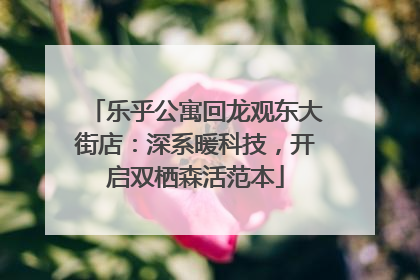 乐乎公寓回龙观东大街店：深系暖科技，开启双栖森活范本