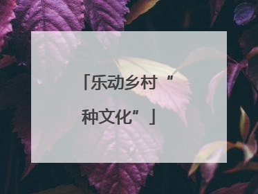 乐动乡村“种文化”