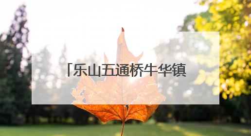 乐山五通桥牛华镇二码头小学开展端午亲子劳动教育活动