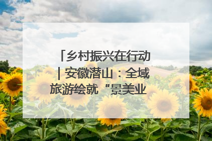 乡村振兴在行动｜安徽潜山：全域旅游绘就“景美业兴民富”新画卷