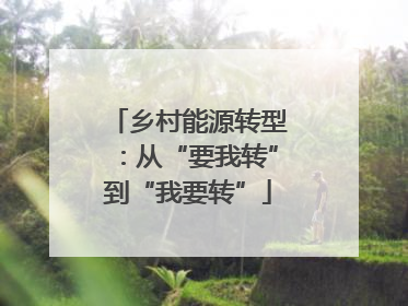 乡村能源转型：从“要我转”到“我要转”