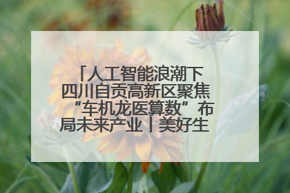 人工智能浪潮下 四川自贡高新区聚焦“车机龙医算数”布局未来产业丨美好生活有“盐”味