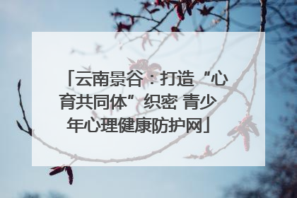 云南景谷：打造“心育共同体”织密 青少年心理健康防护网