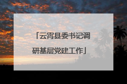 云霄县委书记调研基层党建工作