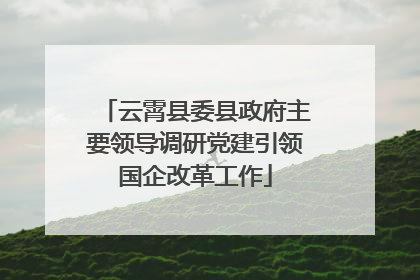 云霄县委县政府主要领导调研党建引领国企改革工作