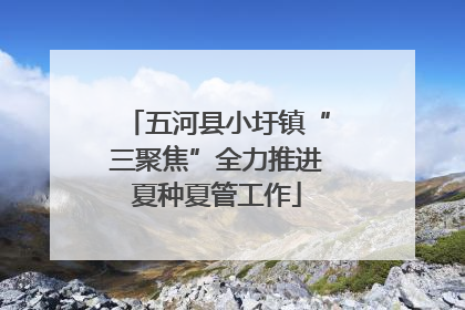 五河县小圩镇“三聚焦”全力推进夏种夏管工作