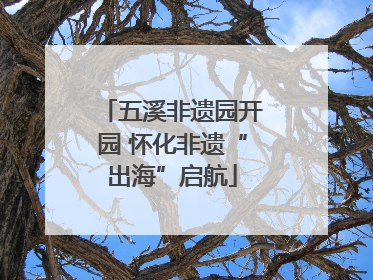 五溪非遗园开园 怀化非遗“出海”启航