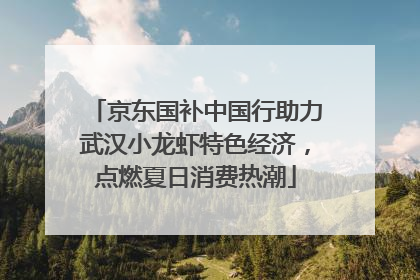 京东国补中国行助力武汉小龙虾特色经济，点燃夏日消费热潮