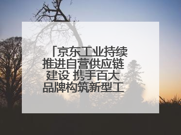 京东工业持续推进自营供应链建设 携手百大品牌构筑新型工业化基础设施