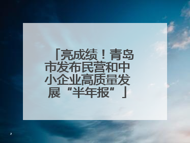 亮成绩！青岛市发布民营和中小企业高质量发展“半年报”