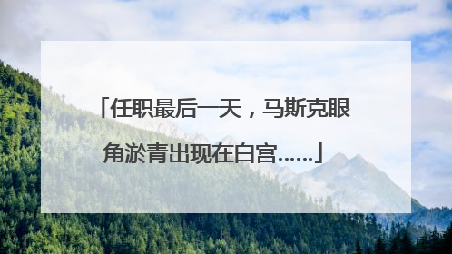 任职最后一天，马斯克眼角淤青出现在白宫……