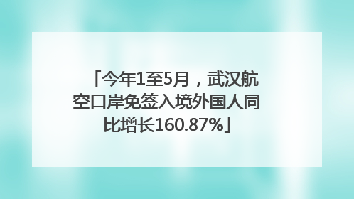 今年1至5月，武汉航空口岸免签入境外国人同比增长160.87%