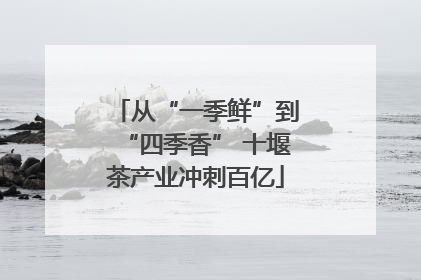 从“一季鲜”到“四季香” 十堰茶产业冲刺百亿