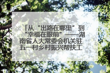 从“出路在哪里”到“幸福在眼前”——湖南省人大常委会机关驻五一村乡村振兴帮扶工作队书写振兴答卷