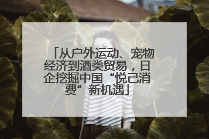 从户外运动、宠物经济到酒类贸易，日企挖掘中国“悦己消费”新机遇